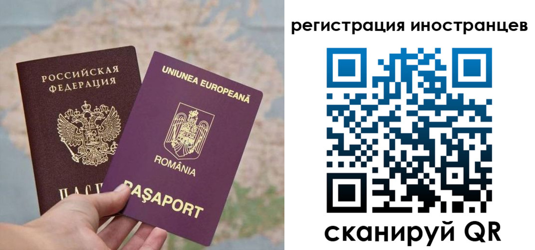 прописка в квартире в Коми